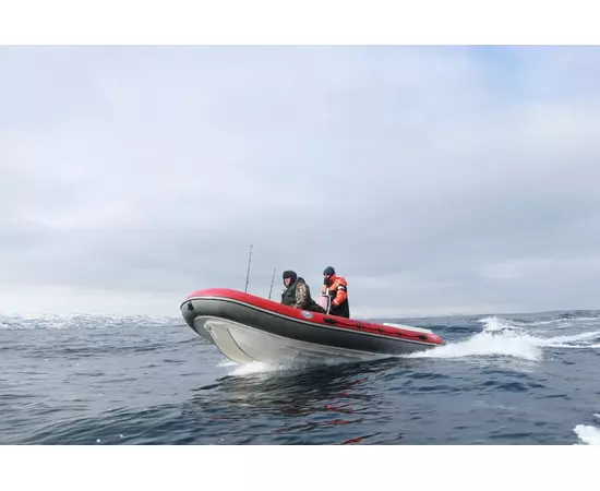 РИБ CAT FORTIS 490 - жестко-надувная моторная лодка, Тип дна: Стеклопластиковое дно, Цвет лодки: Красно-синий, изображение 11
